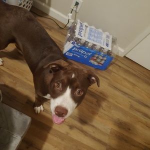 Meet your Posher, Maggie